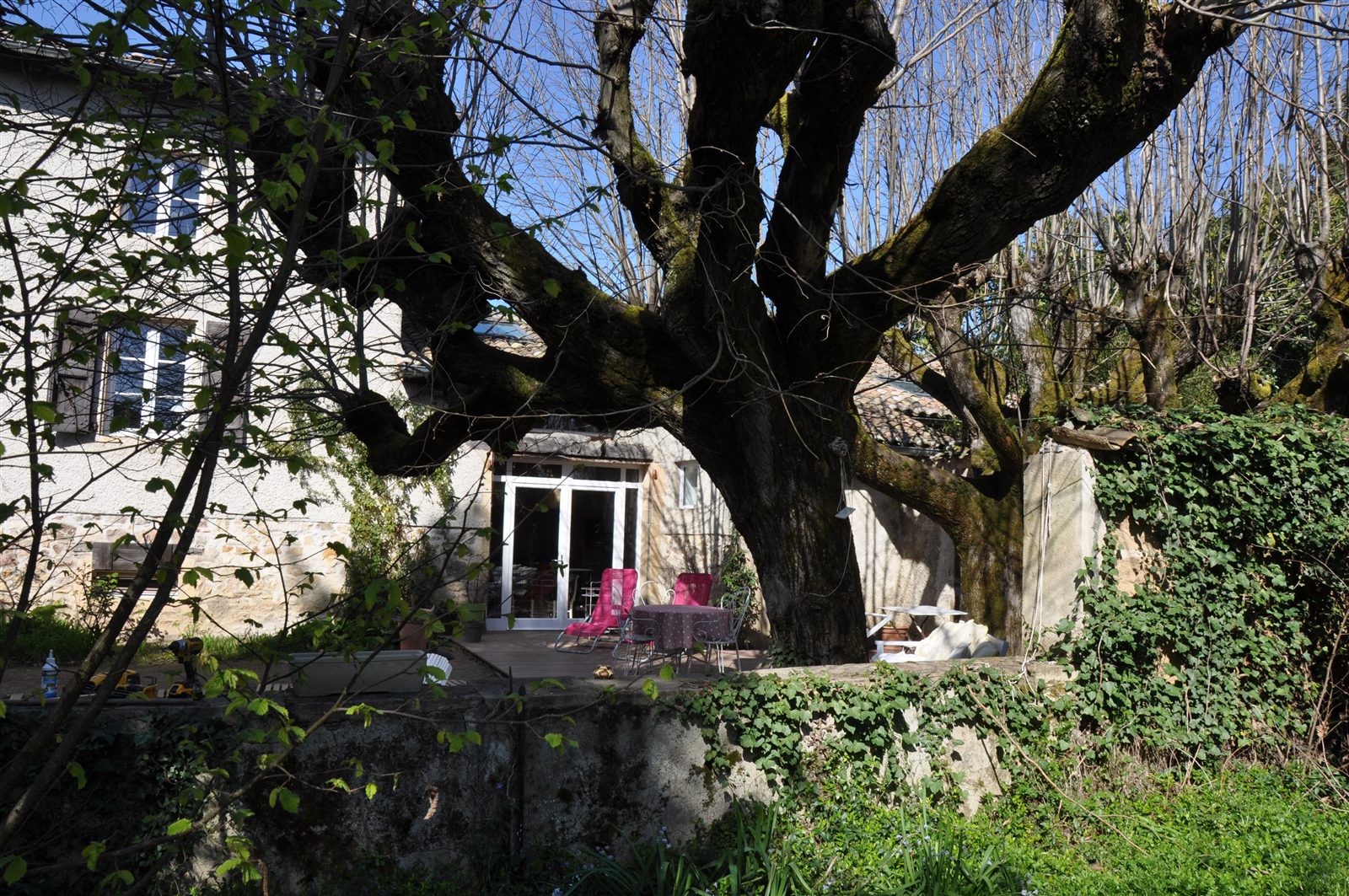 Grand arbre et jardin de la Villa Villou dans le Beaujolais