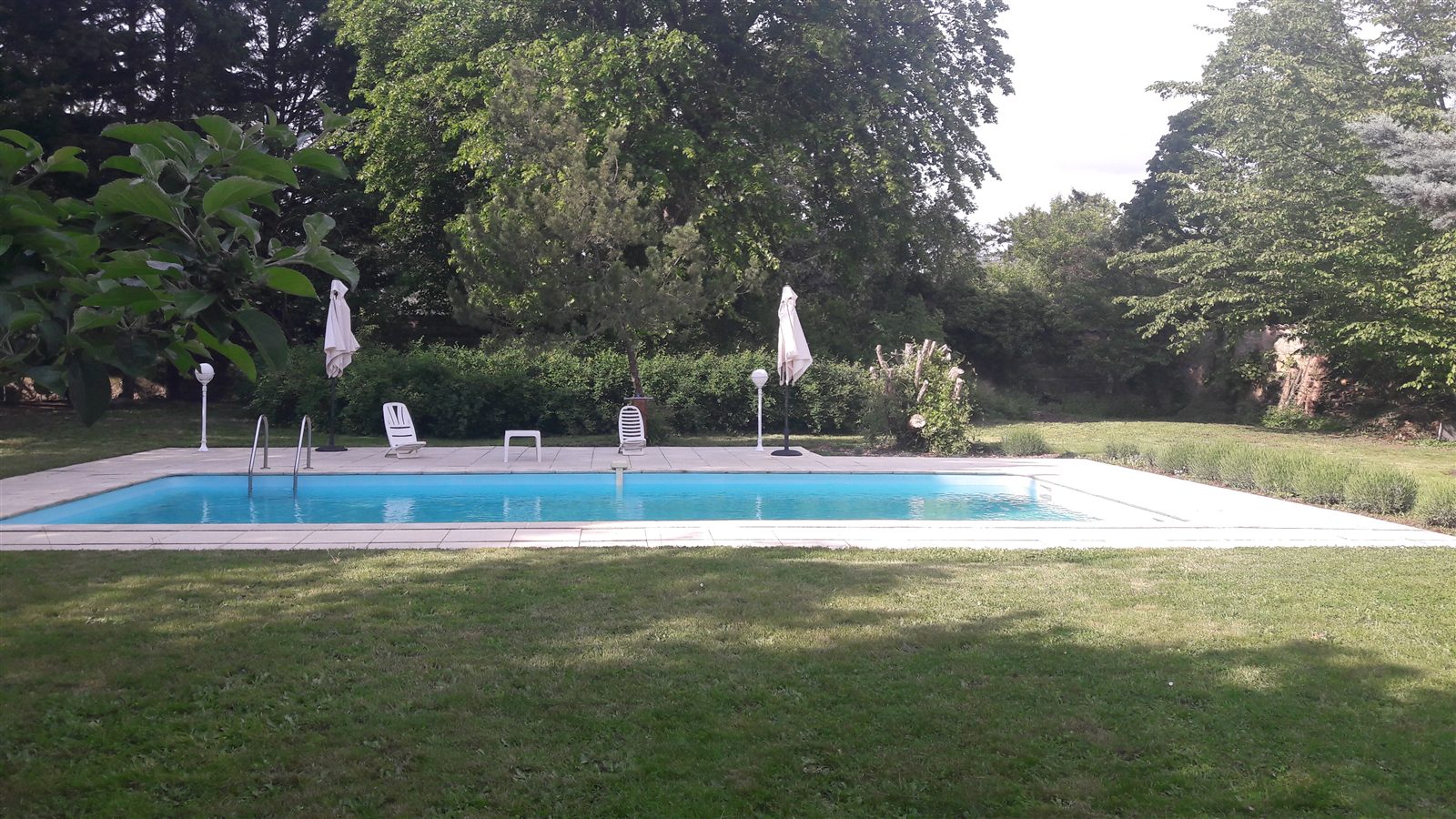 Piscine extérieure entourée de pelouse à la Villa Villou
